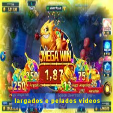 largados e pelados videos